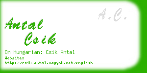 antal csik business card